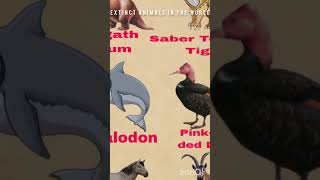 Funk Mi Camino super Slowed