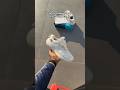 SKECHERS GO RUN SUPERSONIC MAX WHITE ( WHATSAPP +91-9727783147 ) #shorts #reels #youtubeshorts