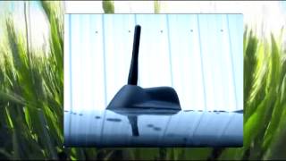 The Stubby Antenna for MINI Cooper