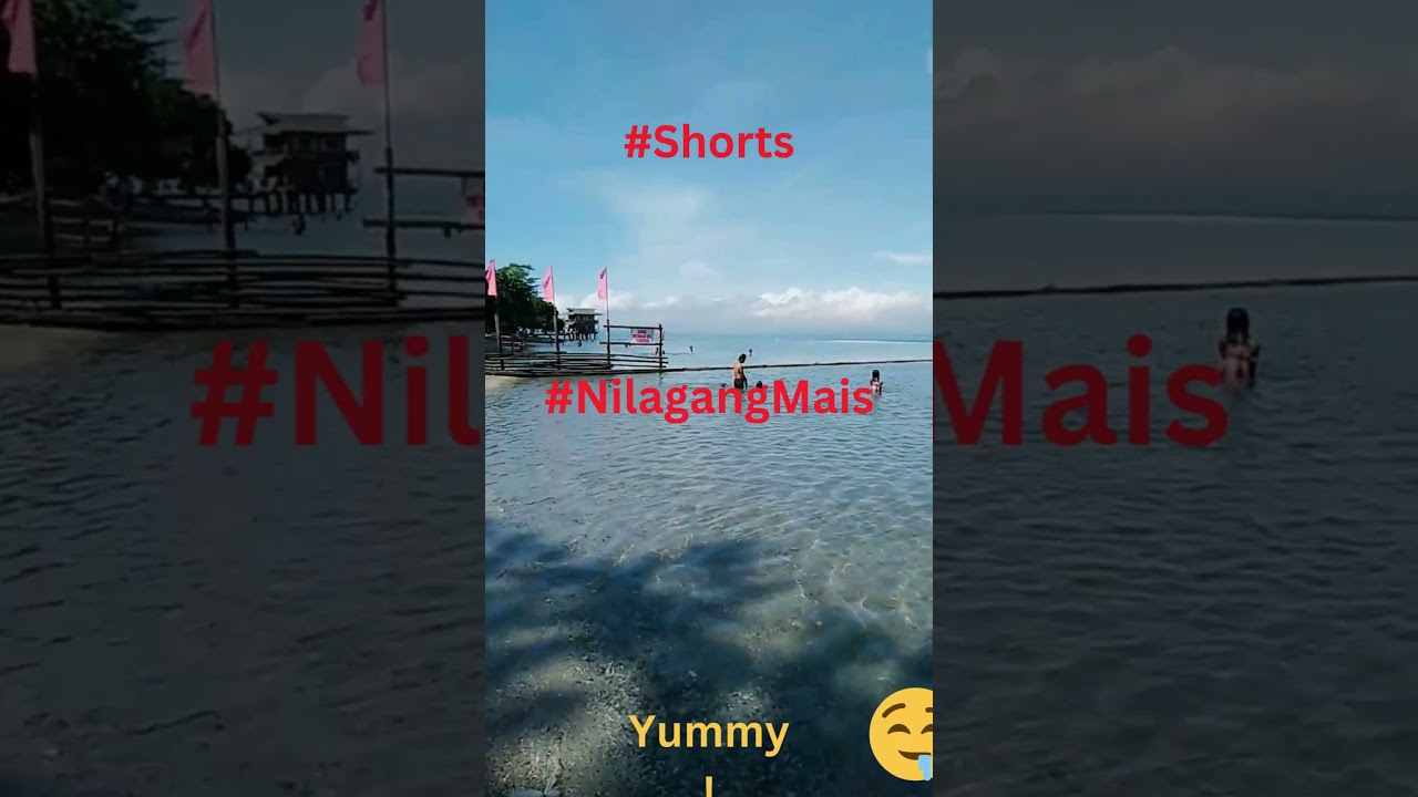 #Life at the beach #shortsvideo #travel #touristattraction #beach #nature