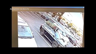 Raw: Surveillance video captures man stealing Christmas tree from roof of parked vehicle