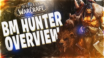 BM HUNTER BFA GUIDE!! BATTLE FOR AZEROTH 8.0