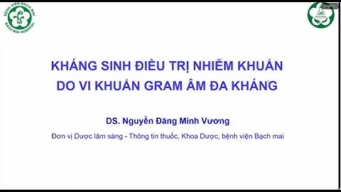 Kháng sinh điều trị nhiễm khuẩn do vi khuẩn gram âm đa kháng