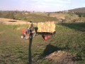 For Lachlan - my new Ride on mower, taking some hay down to the bottom shed and the gg's For Lachlan - my new Ride on mower, taking some hay down to the bottom shed and the gg's