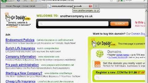 AdGenie Video 3 - How To Set Up Name Server For Your Domains