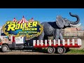 Lo zoo del circo rony roller roma  via boccea gennaio 2023