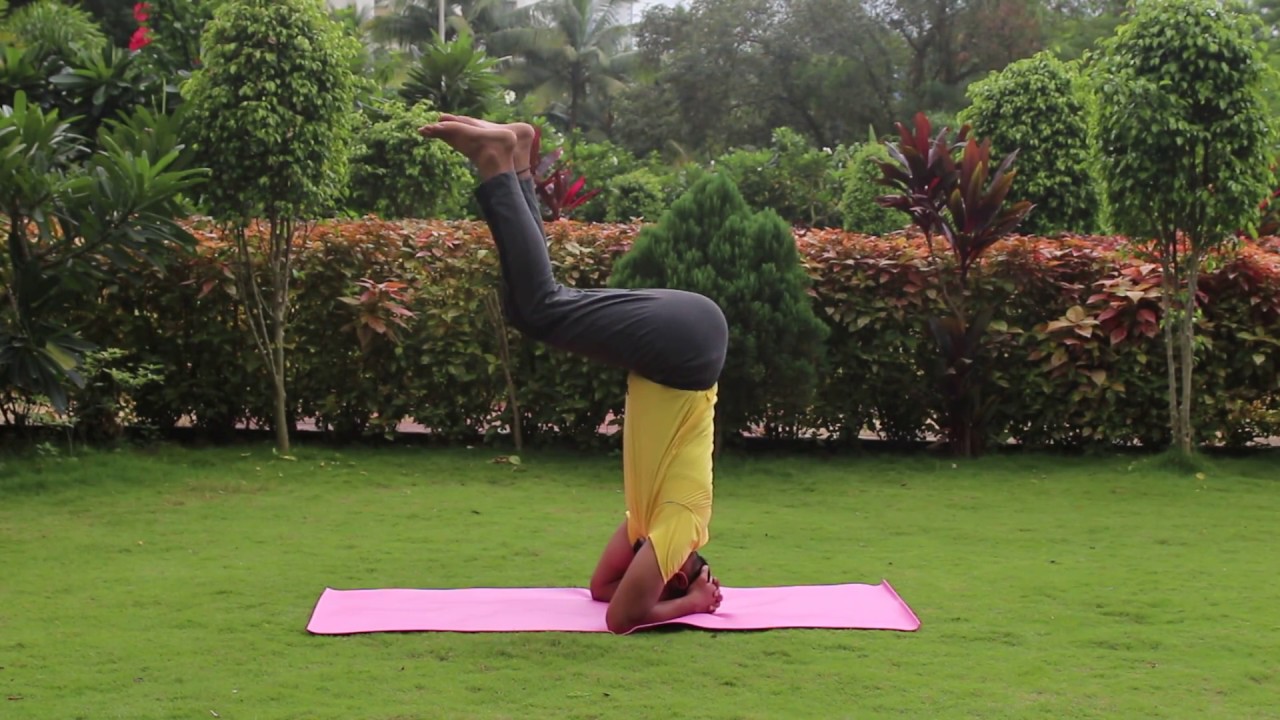 Sirsasana Yoga Pose For Beginners Youtube