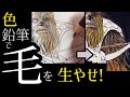 【STAR WARS塗り絵】色鉛筆でフサフサな毛の表現の描き方(塗り方)のコツ教えちゃいます！【ART】