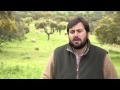 Jovens Agricultores - Intégroverde e Gado Gordo