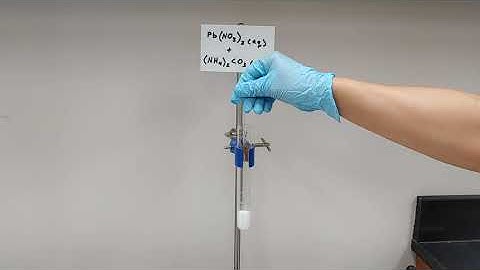 Pb(NO3)2 + (NH4)2CO3
