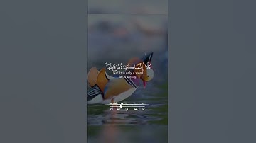 القارئ هشام الهراز قرآن كريم تلاوات قرانيه #اكسبلور #القران
