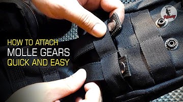 Tactical MOLLE Webbing 2022