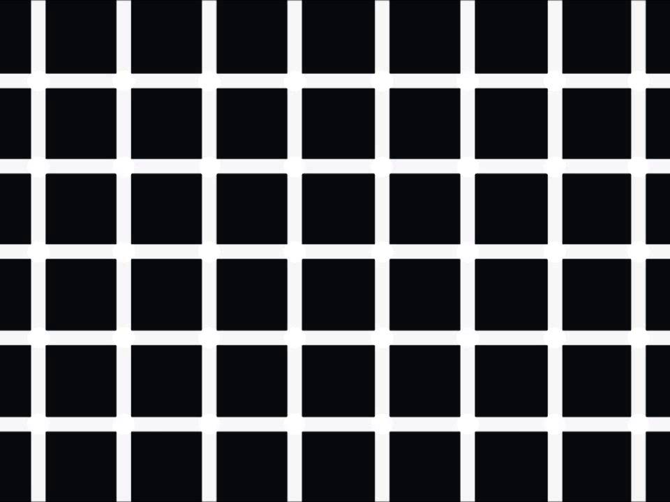 The 5 Best Optical Illusions of All Time
