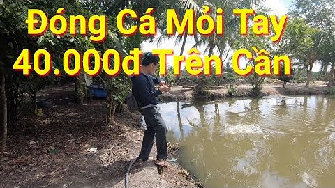 Câu Cá Giải Trí Thử Thách Hồ Đại Quang Minh | Cha Già Vlogs