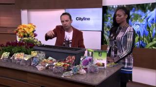 Prepare for spring with planting tips from Frankie Flowers