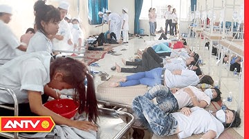 Nỗi Lo Ngộ Độc Thực Phẩm Ngày Hè | An Toàn Sống | ANTV