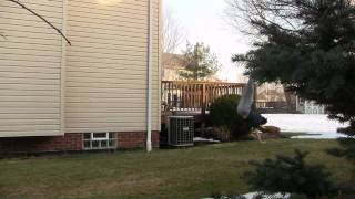 Backflip fail!