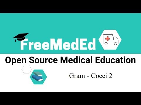 Video Bacteria 3B: Gram-negative Cocci- Neisseria... - youtube