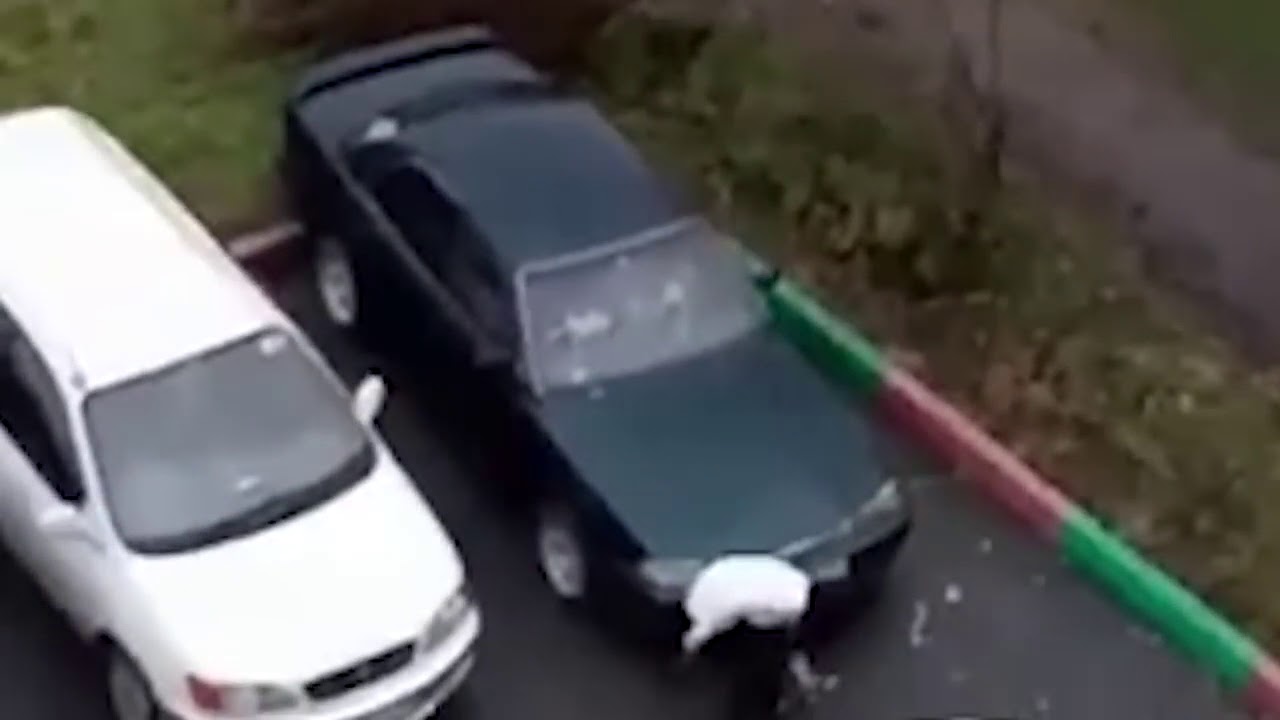 Девушка разбила машину