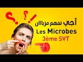 Les Microbes 3ème Année Collège Les Micro Organismes 