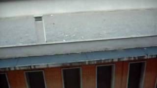 DSCF0959