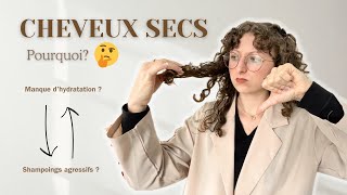 5 RAISONS POUR LESQUELLES TU AS LES CHEVEUX SECS + MES SOLUTIONS