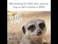 Is it You?