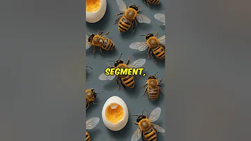 Discovering the Blue Carpenter Bee: Nature's Metallic Jewel | A Mesmerizing Journey #nature