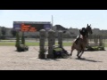 Video Of LIONHEART Ridden By MALLORY HENSLEY From ShowNet Video Of LIONHEART Ridden By MALLORY HENSLEY From ShowNet