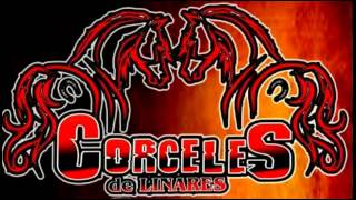 Los Corceles De Linares-El Jabalí