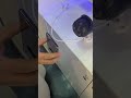 تشغيل كاميرا متحركة Icsee تشغيل كاميرا متحركة Icsee