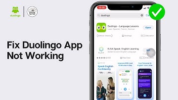 Duolingo App Not Working: How to Fix Duolingo App Not Working (2024)
