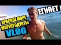 ЕГИПЕТ - ДЕШЕВЫЕ МОРЕПРОДУКТЫ!  Красное море. Египет отдых VLOG