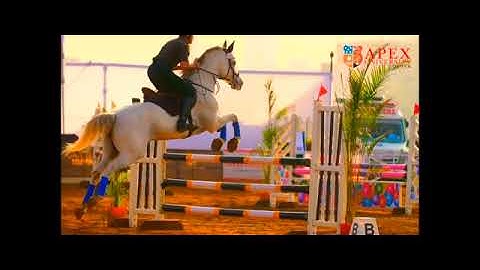 Apex University- Beyond the World