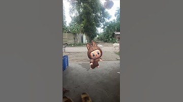Labubu #funk #funkopop #subscribe  #funko #music #viralvideo #friends #comedy #shortvideo #rajdeep