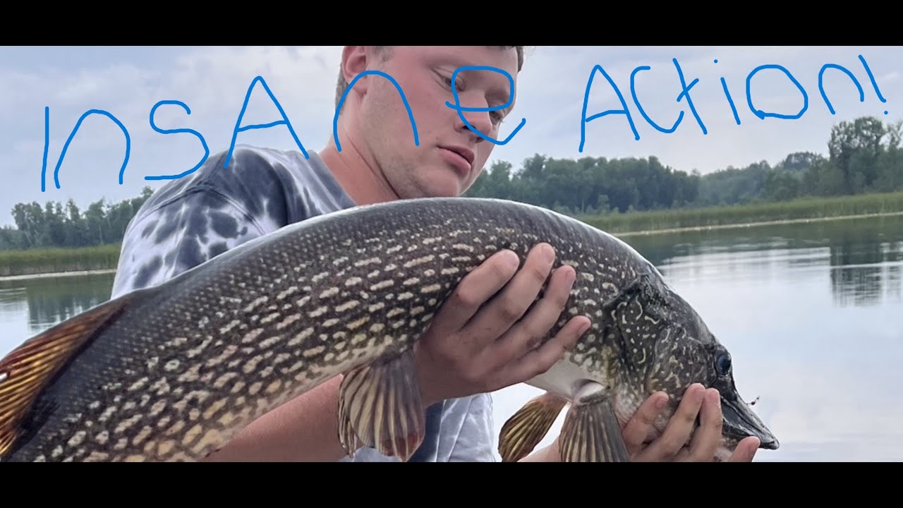 Northern MN Summer Topwater Bass Fishing