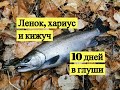 Ленок, хариус и кижуч. 10 дней в глуши