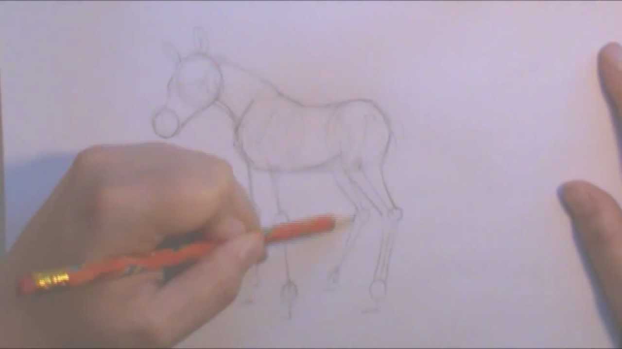 how to draw a realistic baby horse How to Draw a baby Horse
