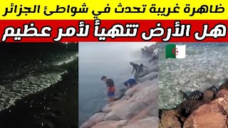 الجزائر شاهدوا ظاهرة غريبة تحدث في شواطئ الجزائر.خروج السمك بأعداد كبيرة سبحان الله العظيم