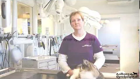 Elaine Derry