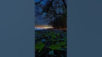 ما اجمل صوته 🤲من اروع واجمل اصوات التي سمعتها في تلاوة القرآن يأخذك إلى عالم أخر 🎧🎧 حسام عبد الباقي