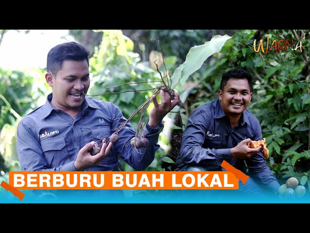 Menyusuri Hutan Berburu Buah Lokal Khas Kalimantan | Warna
