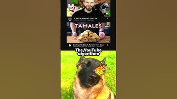 Perfect algorithm 😩