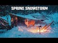 Camping in a Spring Snowstorm with My Dog