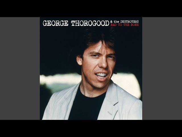 George Thorogood & The Destroyers - It's A Sin