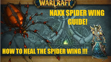 Wow Classic FRESH 2025 - Naxx Spider Wing HEALING Guide (Deep Dive)