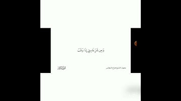سوره الفلق قارئ هزاع بلوشي