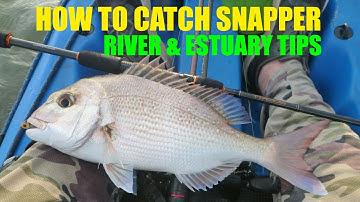 How to Catch Snapper on Soft Plastics - River and Estuary Tips