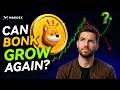 BONK Coin Price Prediction: What Actually Drives This Meme Coin?