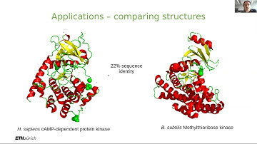 PTB - Structural Bioinformatics 1
